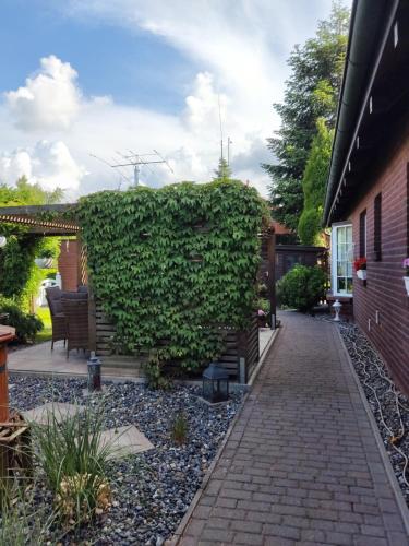 a garden with a large ivy covered wall at Ferienwohnung nahe der Ostsee in Steinhagen
