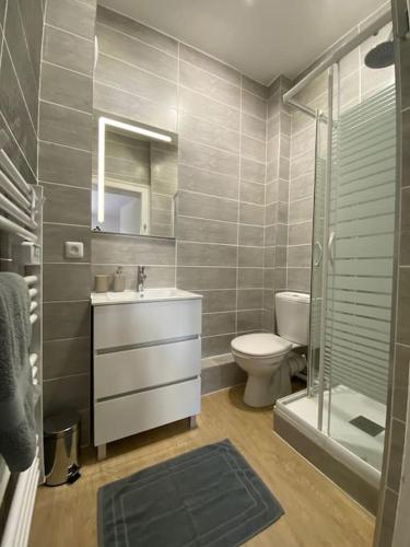 une salle de bain avec un lavabo, des toilettes et une douche dans l'établissement Le New York Appart' T1 Bis au centre du MANS, au Mans