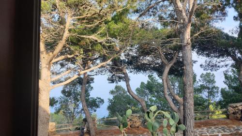 Κήπος έξω από το Sotto la Torre e sopra il Porticciolo
