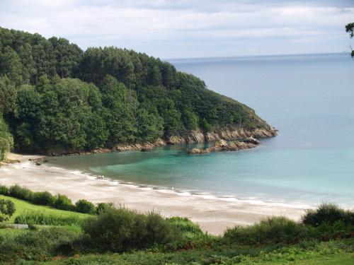 a view of a beach with trees and the ocean at Paraíso Ortegal in Feás