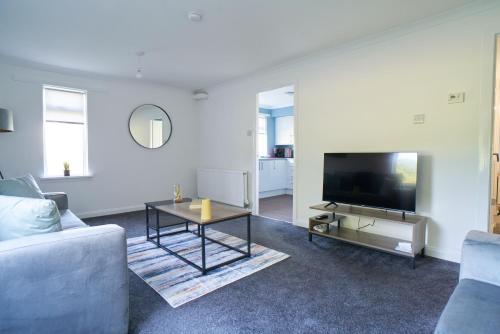艾爾德里的住宿－Terrace Apartment，带沙发和电视的客厅