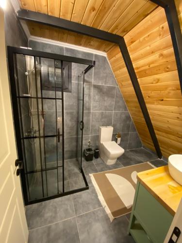 uma casa de banho com um chuveiro e um WC. em Tlos Nature Houses em Yaka
