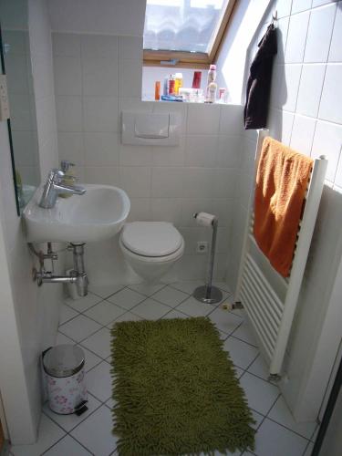 ein Badezimmer mit einem Waschbecken, einem WC und einem grünen Teppich in der Unterkunft Apartment Rosse in Maria Enzersdorf