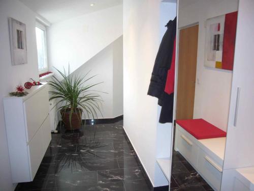 einen Flur mit einer Treppe und einer Topfpflanze in der Unterkunft Apartment Rosse in Maria Enzersdorf