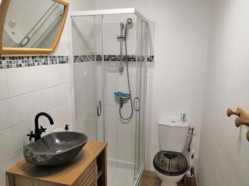 La salle de bains est pourvue d'un lavabo, d'une douche et de toilettes. dans l'établissement La petite étoile d'hôtes en Mercantour, à Saint-Dalmas-le-Selvage