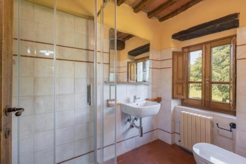 ein Bad mit einem Waschbecken und einer Dusche in der Unterkunft Fonte Nuova in Badia Agnano