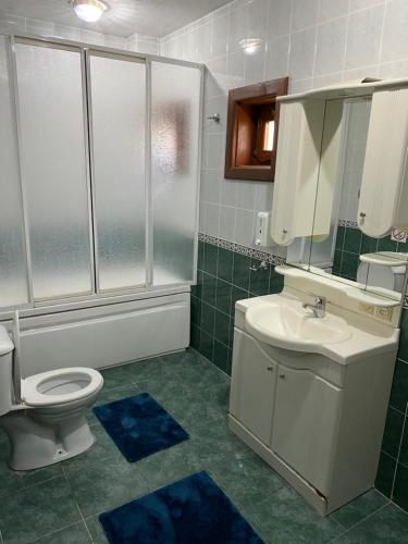 a bathroom with a toilet and a sink and a shower at Four seanson müstakil sıcak havuzlu villa in Sapanca
