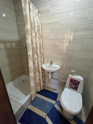 a bathroom with a toilet and a sink and a tub at Садиба Карпат in Roztoky