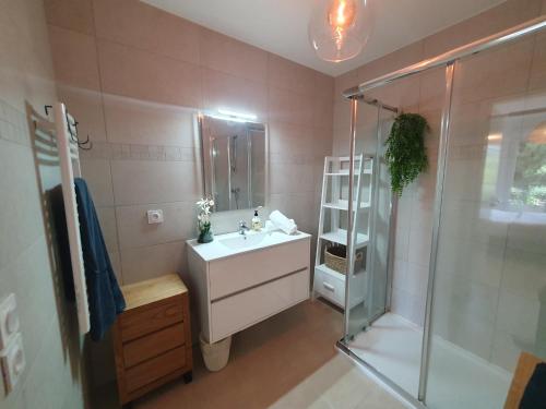une salle de bain avec un lavabo et une douche dans l'établissement BEAU SOLEIL, à Mandelieu-la-Napoule