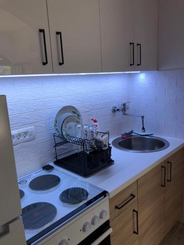 a kitchen counter with a stove and a sink at Apartman Cmiljanic in Igalo