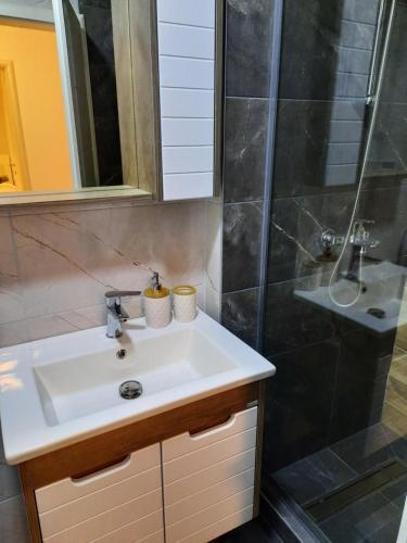a bathroom with a sink and a shower at Dino & Gorge Apartments in Gevgelija