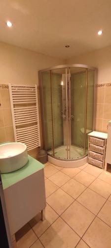 uma casa de banho com um chuveiro e um lavatório. em AUBIGNY appartement centre ville 1e étage em Aubigny-sur-Nère