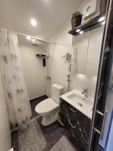 łazienka z toaletą i umywalką w obiekcie Stuga i Borgholms villa w mieście Borgholm