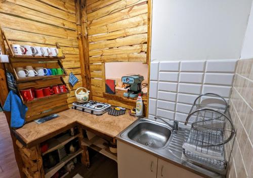 a small kitchen with a sink and a stove at Noclegi U Lestka in Lutowiska