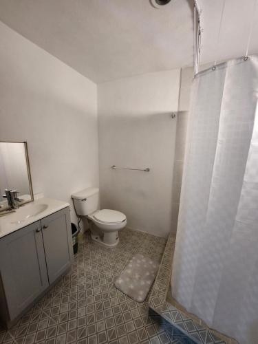 e bagno con servizi igienici, lavandino e doccia. di Casa Linda Vista a Guanajuato