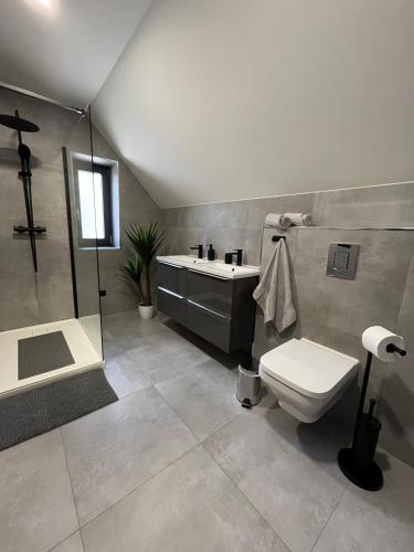 a bathroom with a toilet and a sink and a shower at CHALETY MÝTO POD ĎUMBIEROM in Mýto pod Ďumbierom