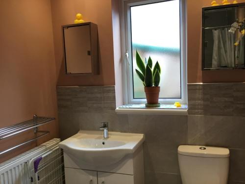 ein Bad mit einem Waschbecken, einem WC und einem Fenster in der Unterkunft Strawberry Fields in Cockermouth