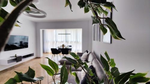 DOS CALAS sunny apartment