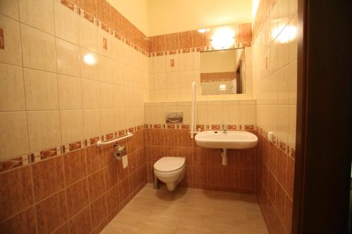 a bathroom with a toilet and a sink at D.W. Harnaś in Białka Tatrzanska
