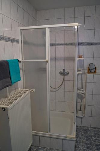 a shower with a glass door in a bathroom at Im Beilsteiner Mühlental in Beilstein