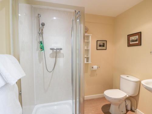 a bathroom with a shower with a toilet and a sink at The Mews Flat in Dalswinton