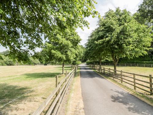 a road in a field with trees and a fence at The Mews Flat in Dalswinton