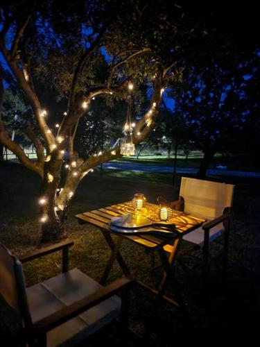 Κήπος έξω από το River rooms kriaritsi