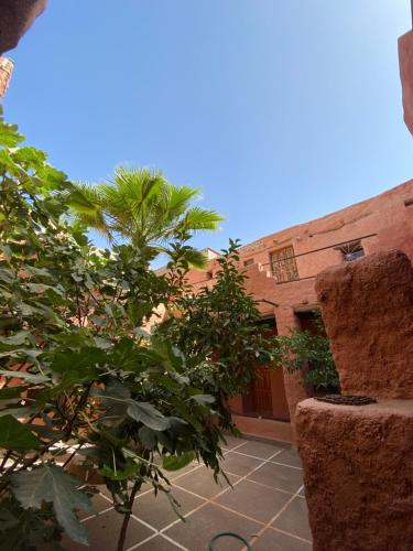 a building with a tree in front of it at Maroc Galacx in Ouarzazate