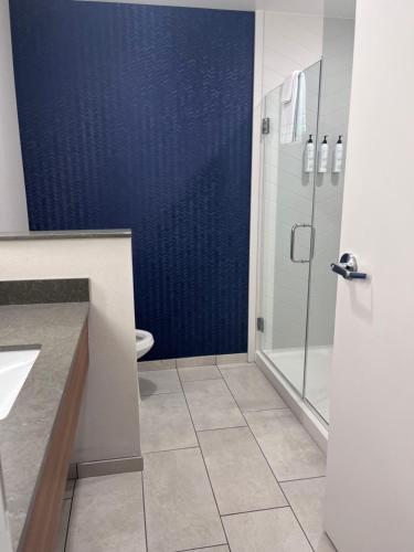 a bathroom with a glass shower and a toilet at Fairfield Inn & Suites by Marriott Oskaloosa in Oskaloosa