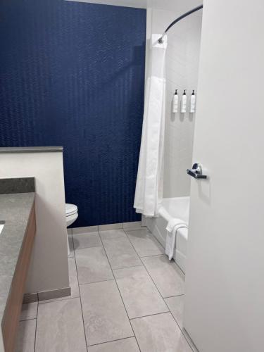 La salle de bains est pourvue d'une douche, de toilettes et de murs bleus. dans l'établissement Fairfield Inn & Suites by Marriott Oskaloosa, à Oskaloosa