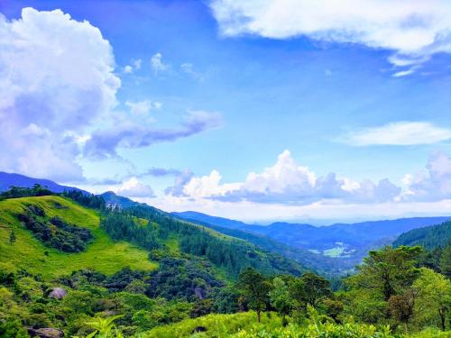 una ladera verde con árboles y montañas en el fondo en Dumbara Breeze, en Hunnasgiriya