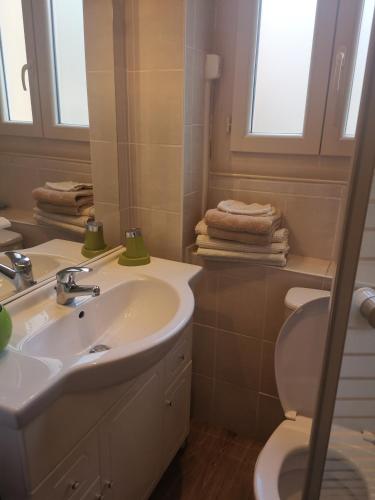 y baño con lavabo, aseo y espejo. en Le Saint Joseph 20, en Moltig les Bains