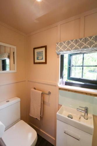 a bathroom with a toilet and a sink and a window at Lapin Cottage in Long Bredy