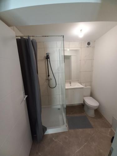 une salle de bain avec douche et toilettes dans l'établissement Gîte Narbonnais 13 min des plages-Jardin-Terasse-Parking, à Narbonne