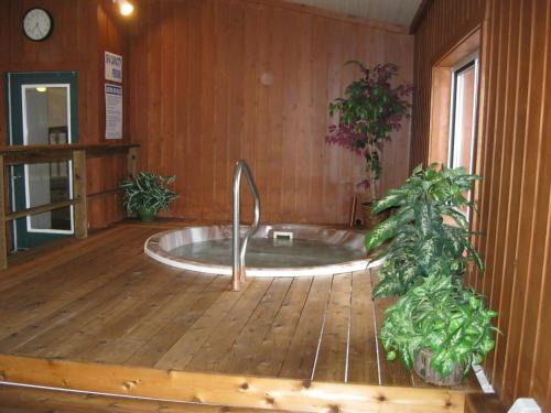 ein Bad mit einer Badewanne in einem Holzboden in der Unterkunft Cedar Hill Lodge in Saint Ignace