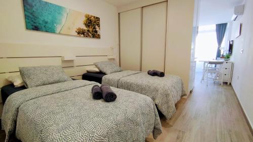 Green 431 by CASAS COCODRILO