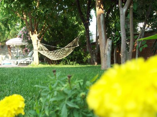 a hammock in a garden with flowers in the foreground at Hotel Vanilla in Fethiye