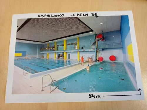 une photo d'une piscine avec des gens qui y vivent dans l'établissement Apartament Gliwice Mewy, à Gliwice