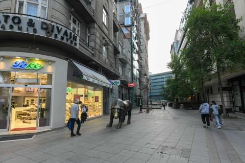 Gallery image of elena apartment in Skopje
