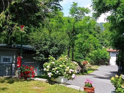 dom z kwiatami przed podjazdem w obiekcie Parco Vacanze Bracchetto Vetta w mieście Carrodano Inferiore