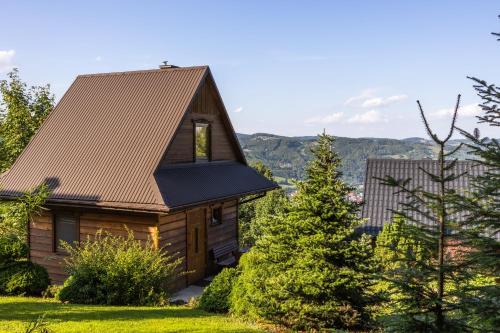 a cabin in the woods with mountains in the background at Domki Ranczo na Załpie in Laskowa