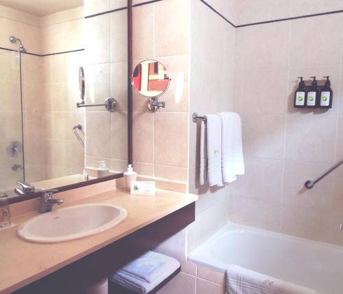 ブエノスアイレスにあるPalermo Suites Buenos Aires Hotel & Apartmentsの洗面台と浴槽のあるバスルーム