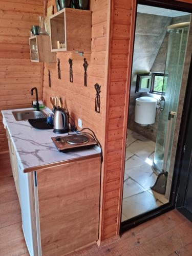 a kitchen with a counter and a sink in a room at Cottage Tvishi in Tvishi