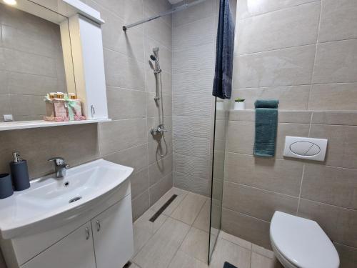 a bathroom with a shower and a sink and a toilet at Apartmani Djuric Center in Subotica