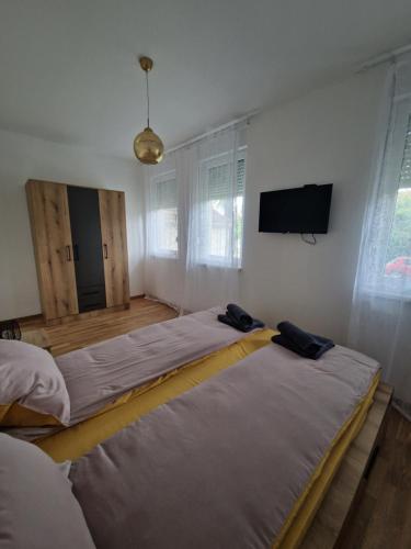 a bedroom with two beds and a flat screen tv at Apartmani Djuric Center in Subotica