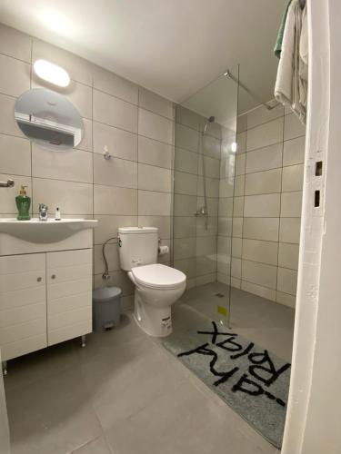 y baño con aseo, lavabo y ducha. en Engomi Apartment en Yukarı Lakatamya