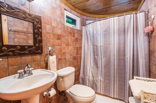 a bathroom with a toilet sink and a shower at Splendid Arroyo Frio 4BR Rustic Villa in Constanza