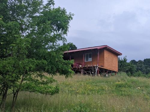 una cabaña de madera en un campo con un árbol en Casa Tranquila, 