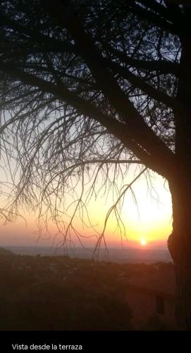 a sunset seen through the branches of a tree at Increíble Casa Rural en la Sierra de Altomira Piscina privada y Barbacoa in Albalate de Zorita