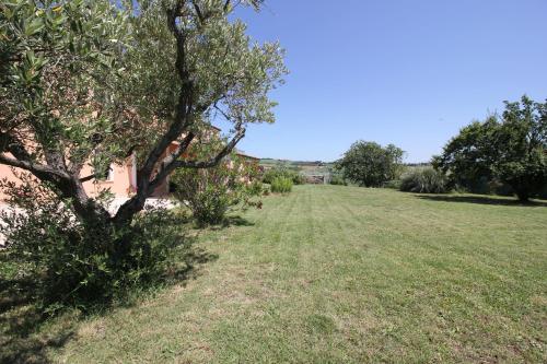 a grassy field with a tree in the foreground at Villa Diana - Pesaro mare e cultura - intera struttura con piscina in Mombaroccio